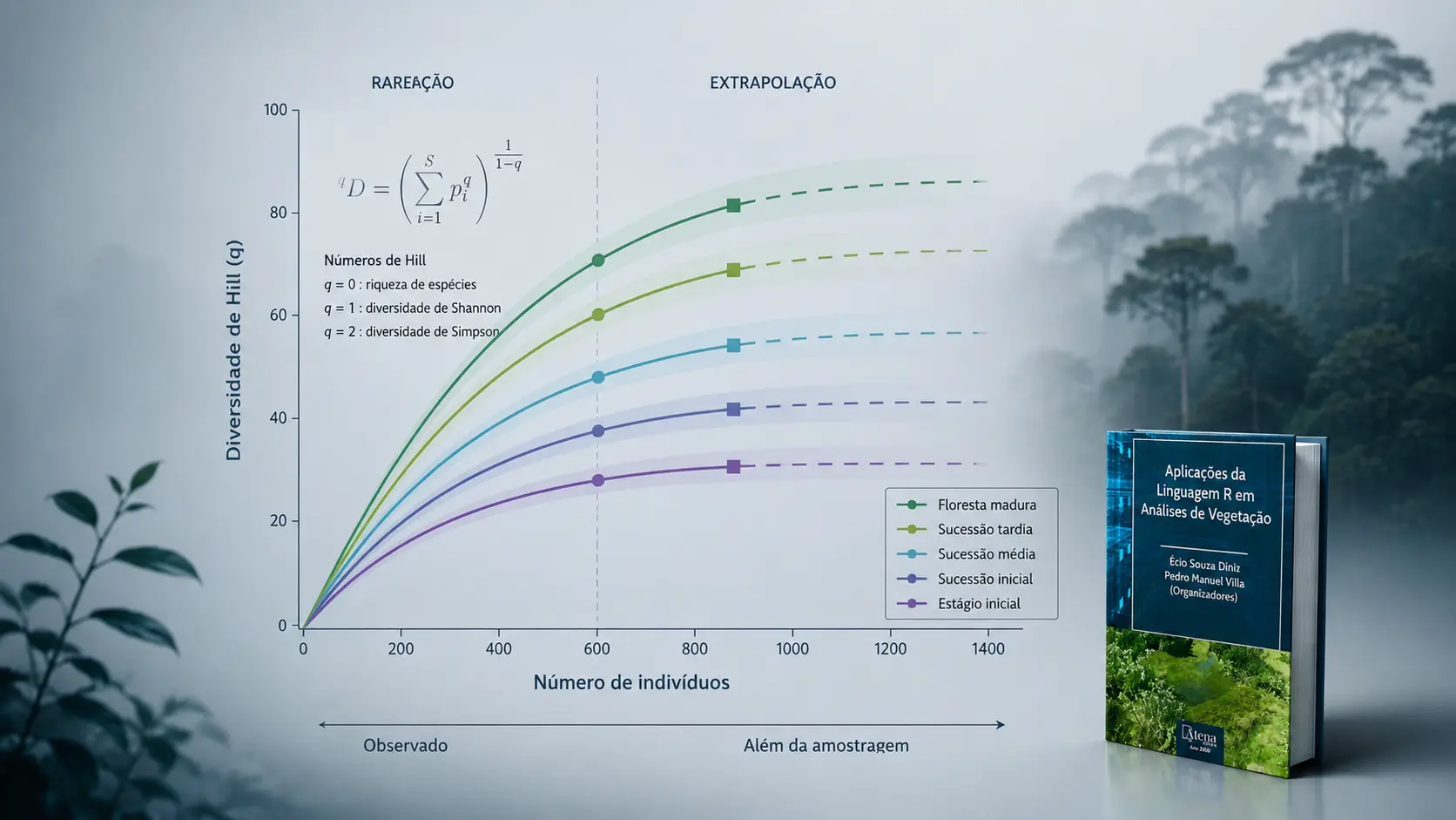 imagem representando codigos em R para extrapoção de diversidade de espécies